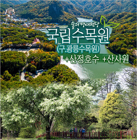 [서울/경기출발] 국립수목원(구.광릉수목원)+산정호수+산사원