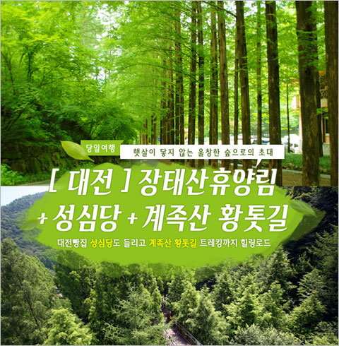 [서울/경기출발] 대전 장태산휴양림+성심당+계족산 황톳길