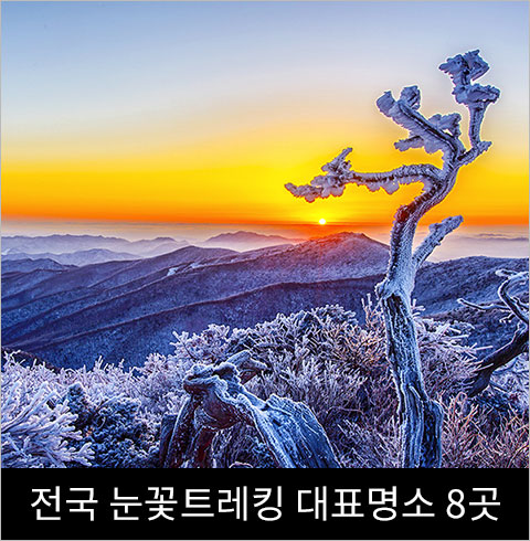 [서울/경기출발] 전국 눈꽃트래킹 대표명소 8곳(설악산, 오대산, 소백산 등)