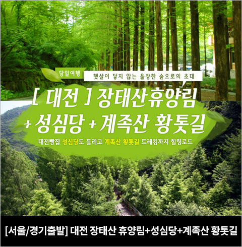 [서울/경기출발] 대전 장태산휴양림+성심당+계족산 황톳길(당일)
