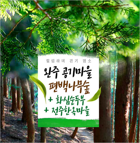 [서울/경기출발] 완주 공기마을 편백나무숲 + 화심순두부 + 전주한옥마을(당일)