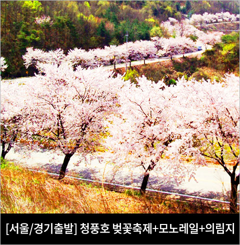 [서울/경기출발] 제천 청풍호 벚꽃축제+청풍관광모노레일+제천의림지(당일)