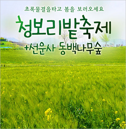 [서울/경기출발] 고창 청보리밭축제+선운사 동백나무숲(당일)