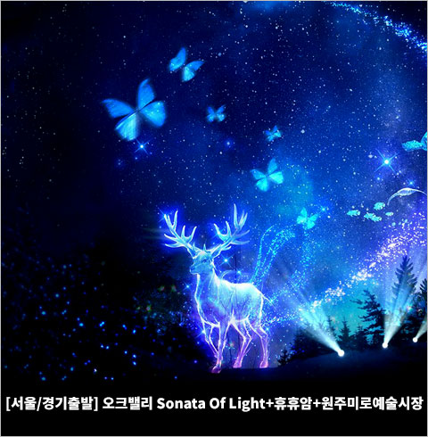 [서울/경기출발] 오크밸리 Sonata Of Light+휴휴암+원주미로예술시장