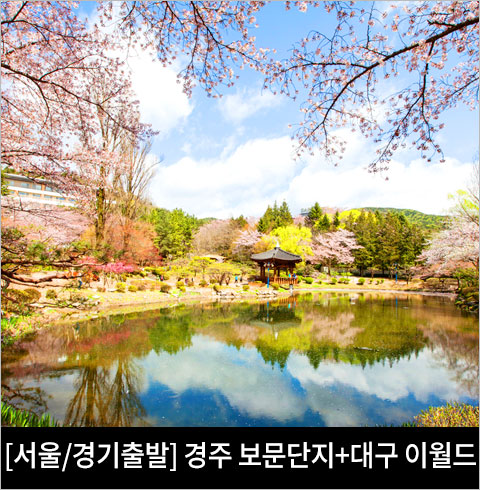 [서울/경기출발] 경주 보문단지+대구 이월드 벚꽃축제(당일)