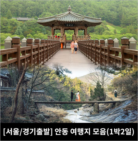 [서울/경기출발] 합시다 여행, 나랑 같이~ 안동 여행지 모음(1박2일)