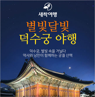 [서울] 별빛달빛 덕수궁 야행