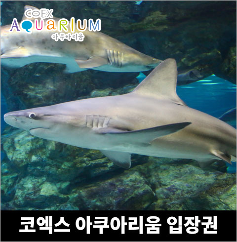 [삼성] 코엑스 아쿠아리움 대인/소인 1인권
