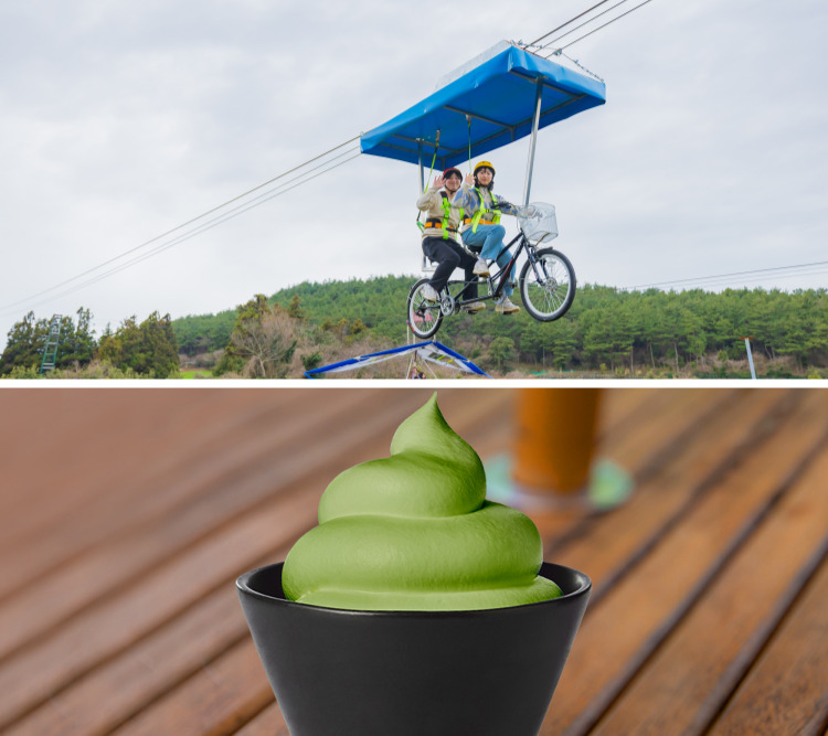 하늘자전거+오설록 말차소프트 아이스크림