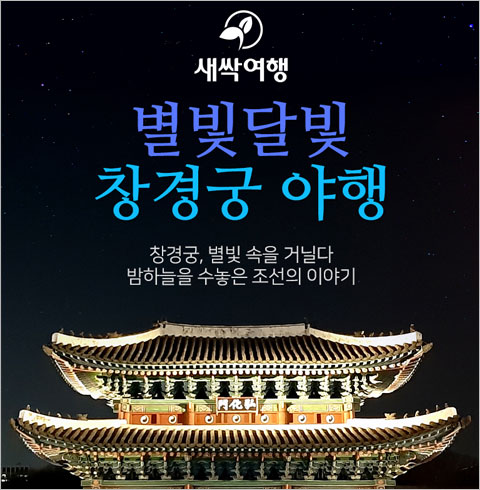 [서울] 별빛달빛 창경궁 야행