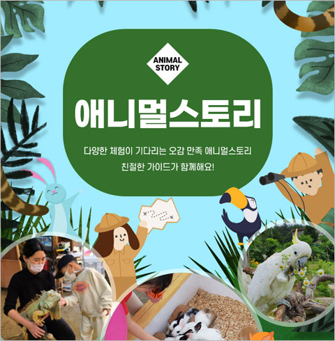 [강릉] 애니멀스토리 동물원 입장권-1인 입장권(~08/31)