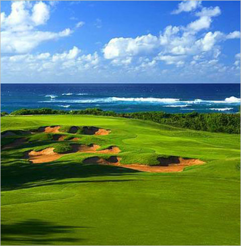 하와이 골프투어-PGA 마우이2박/오아후3박(카아나팔리 골프패키지)