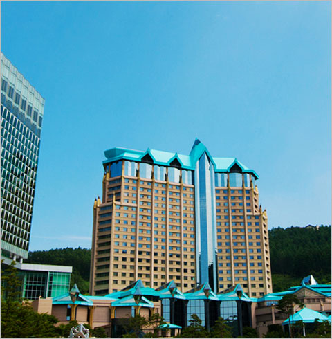 하이원리조트 그랜드호텔 메인타워+조식 단품 패키지