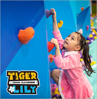 [가든파이브점/송파] 타이거릴리 키...