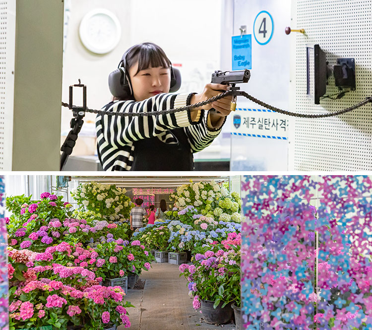 제주실탄사격장 실탄사격 6발+카멜리...